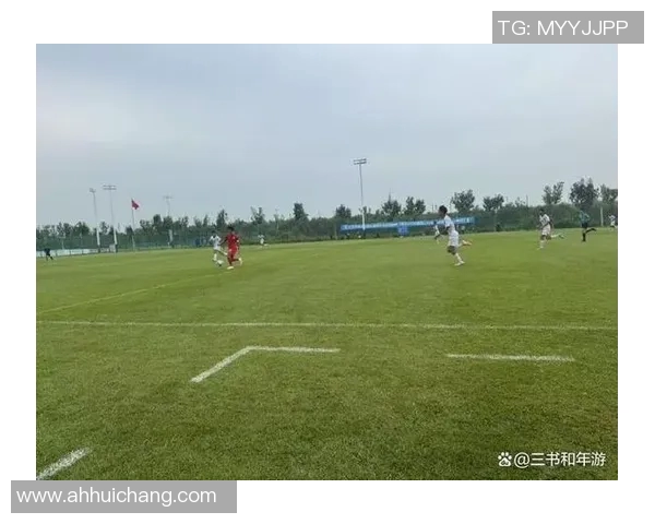 中国足球打假行动全面升级还原绿茵场上的真实与公正